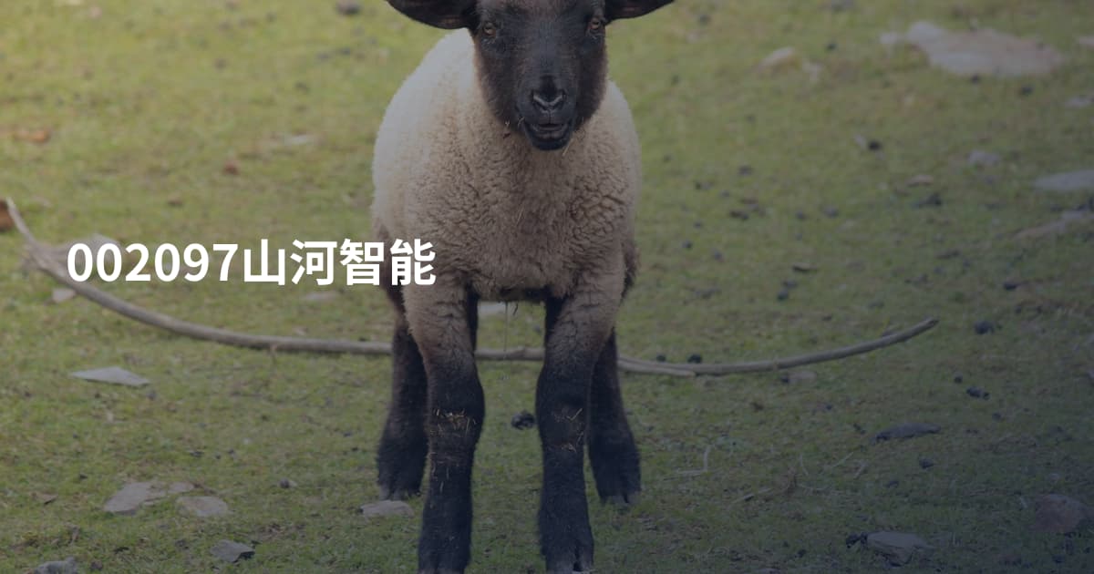 002097山河智能