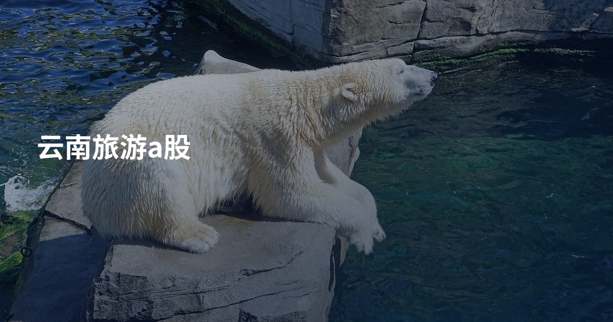 云南旅游a股