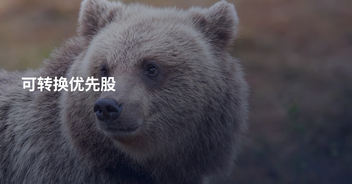 可转换优先股