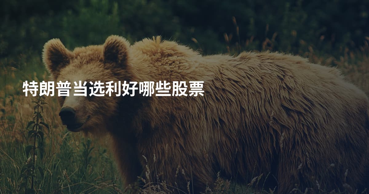 特朗普当选利好哪些股票