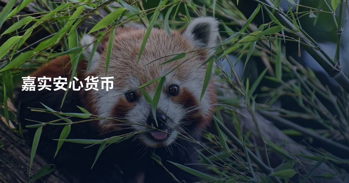 嘉实安心货币