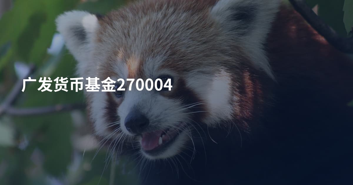 广发货币基金270004
