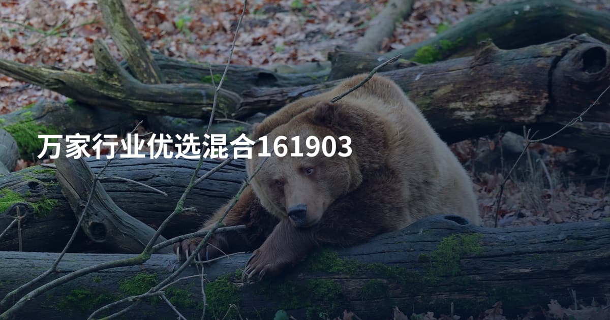 万家行业优选混合161903