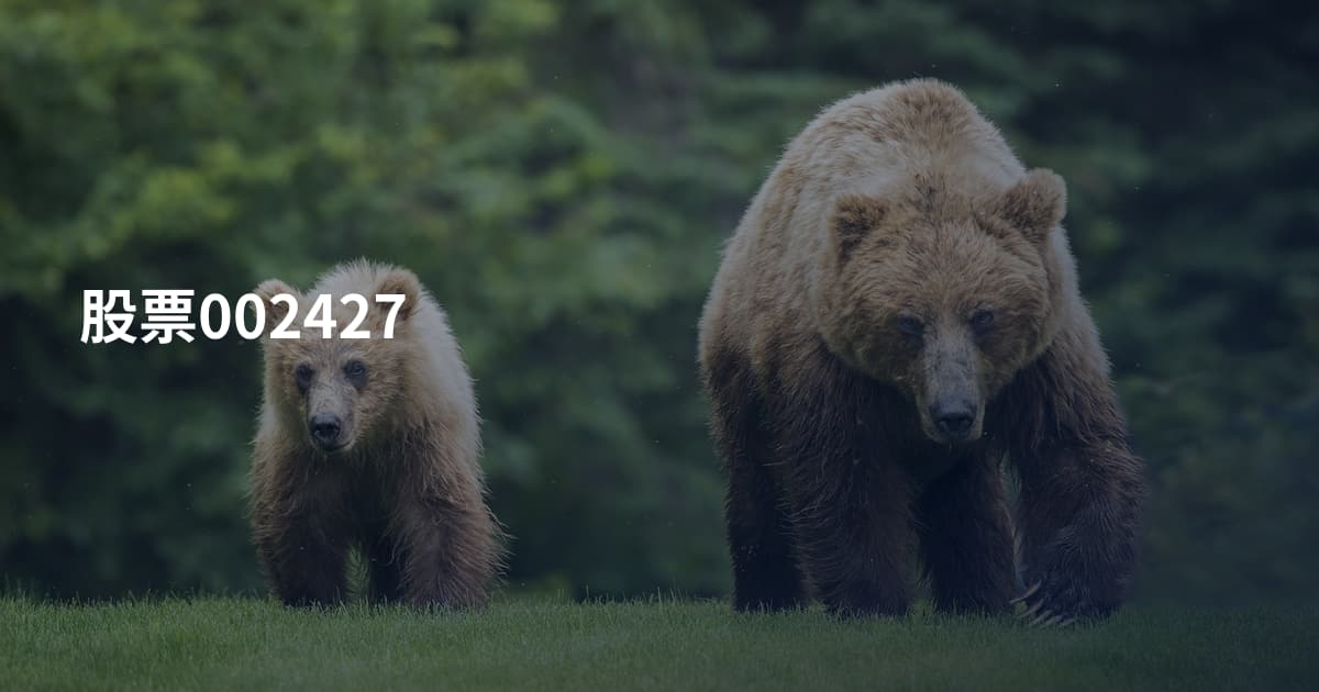 股票002427