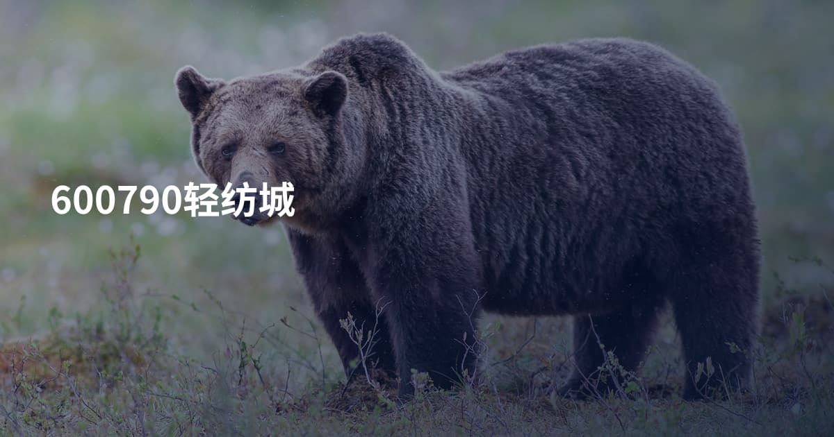 600790轻纺城