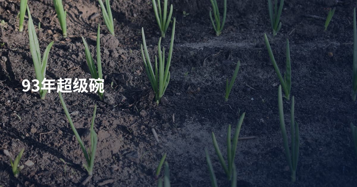 93年超级碗