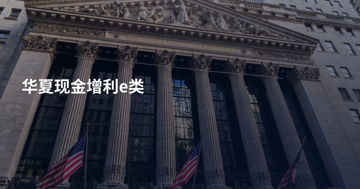 华夏现金增利e类