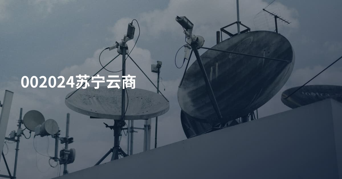 002024苏宁云商