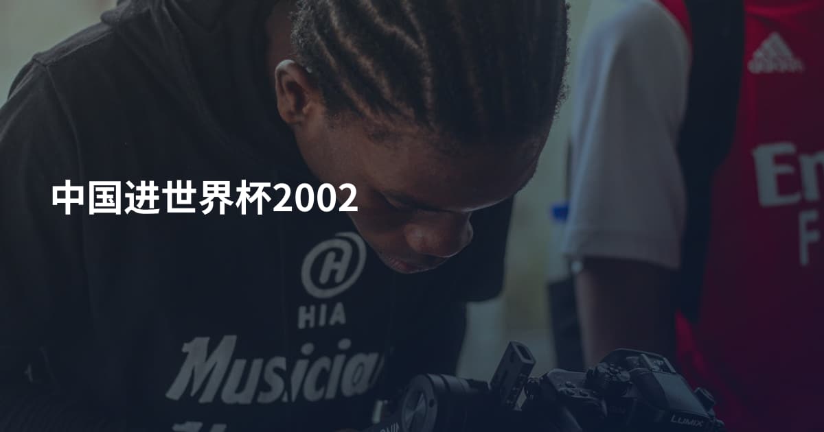 中国进世界杯2002