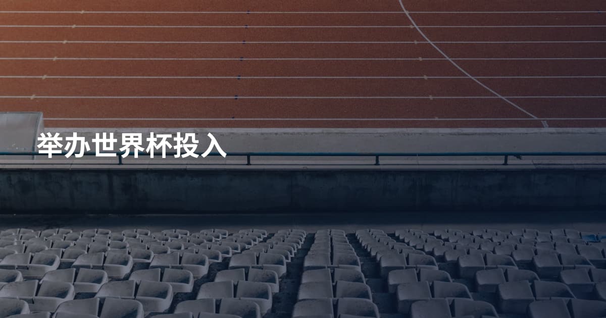举办世界杯投入