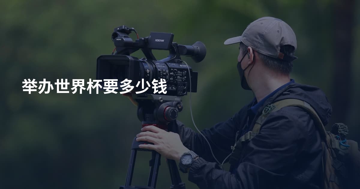 举办世界杯要多少钱