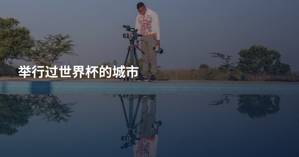 举行过世界杯的城市