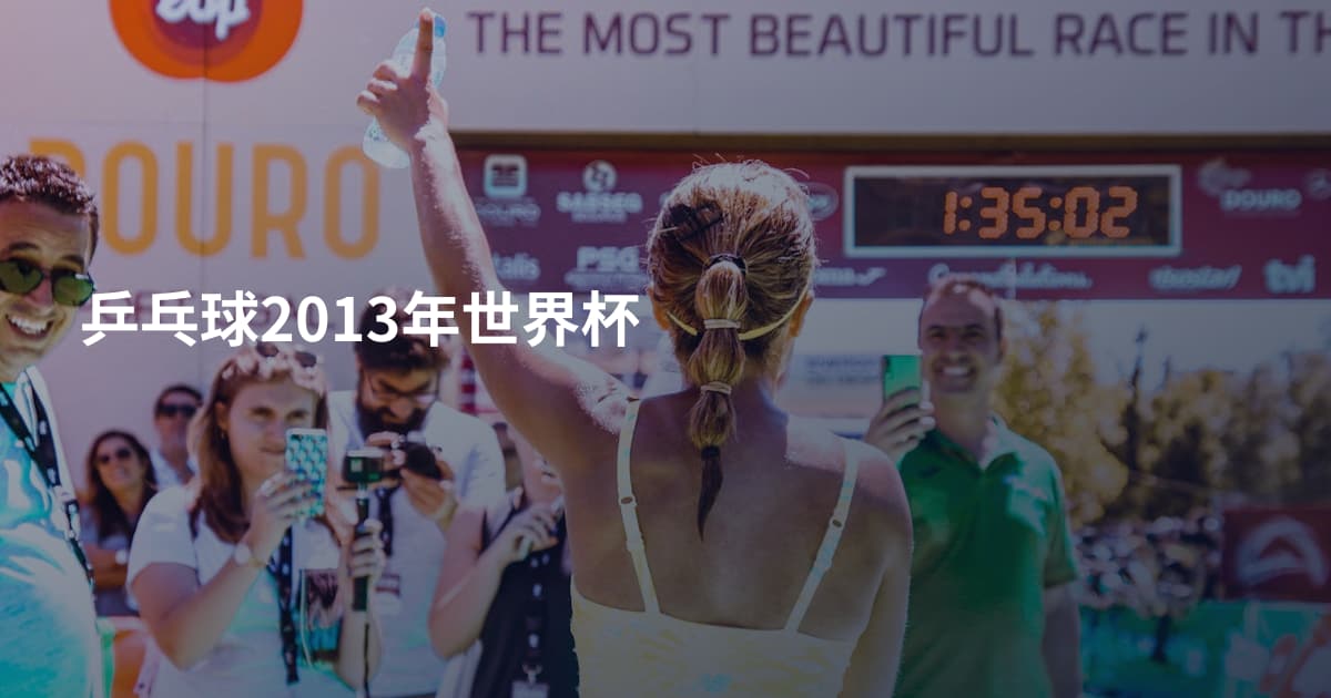 乒乓球2013年世界杯