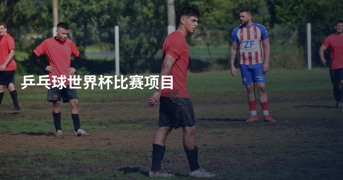 乒乓球世界杯比赛项目