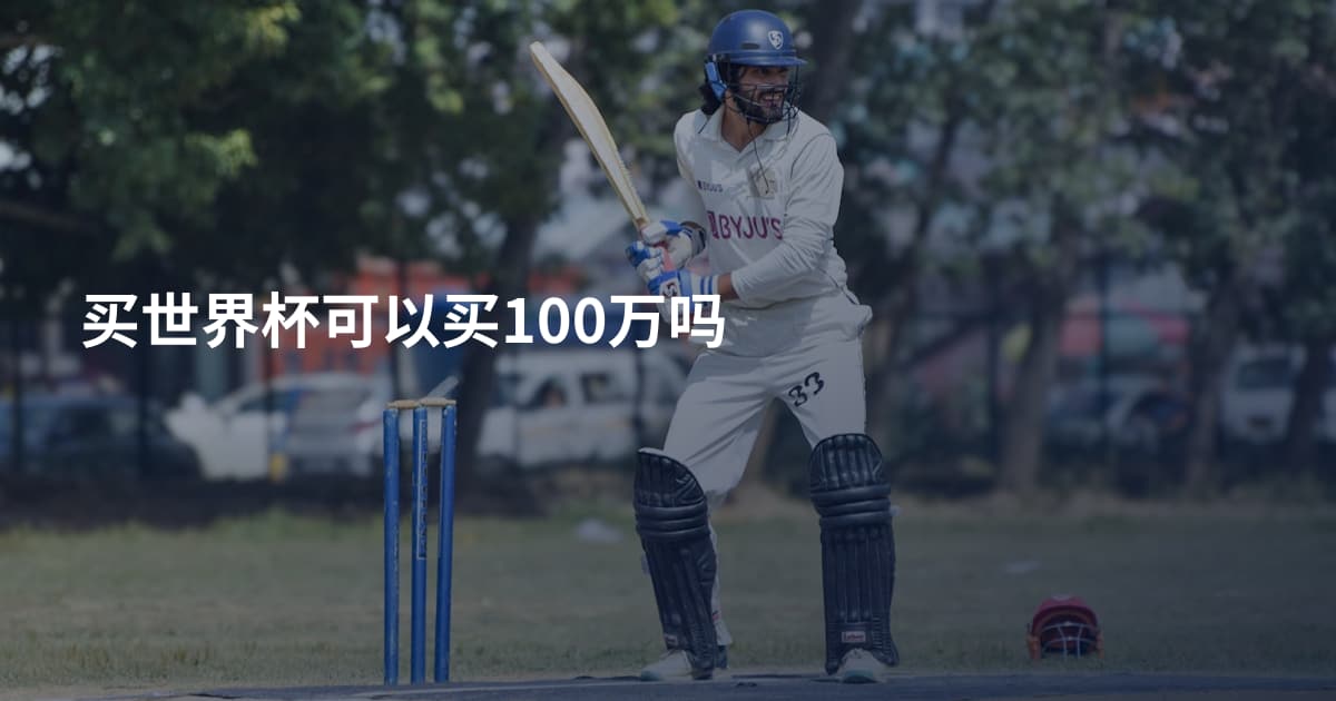 买世界杯可以买100万吗