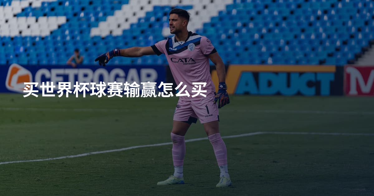 买世界杯球赛输赢怎么买