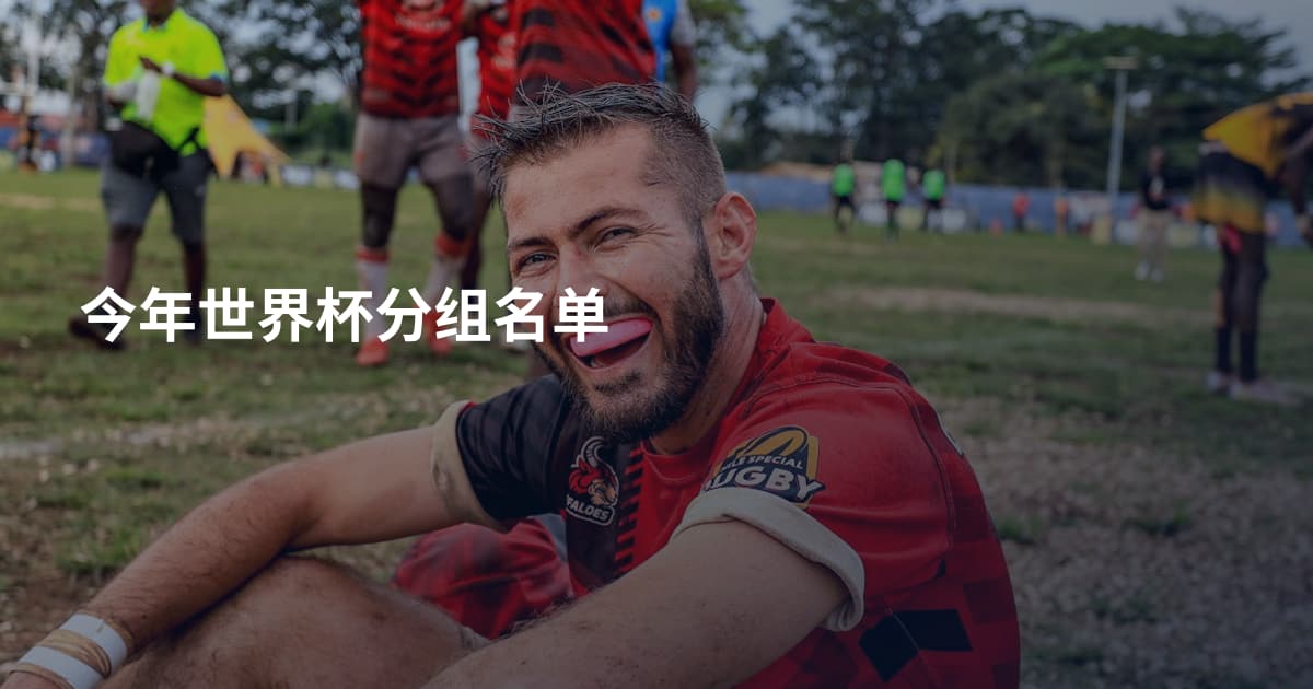今年世界杯分组名单