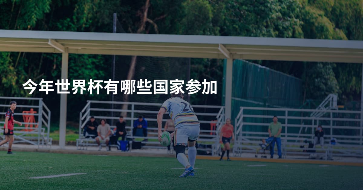 今年世界杯有哪些国家参加