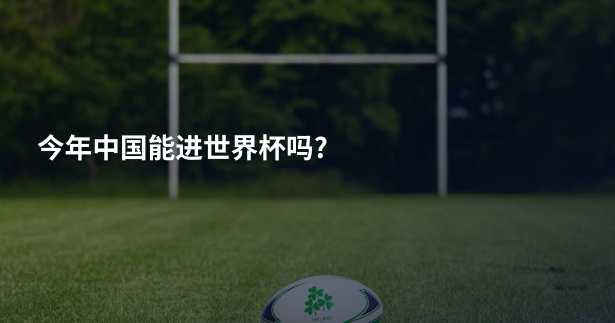 今年中国能进世界杯吗?