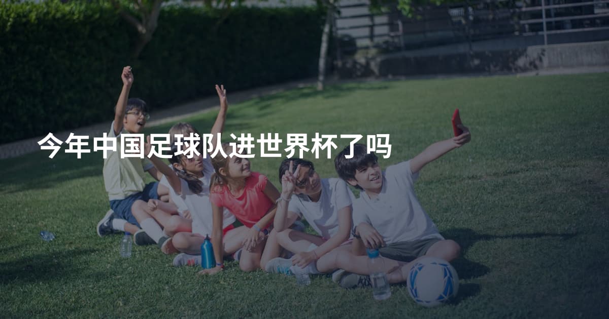 今年中国足球队进世界杯了吗