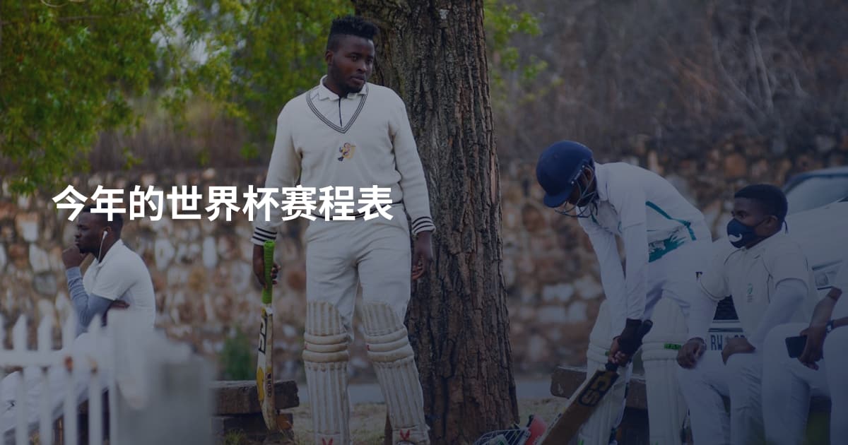 今年的世界杯赛程表