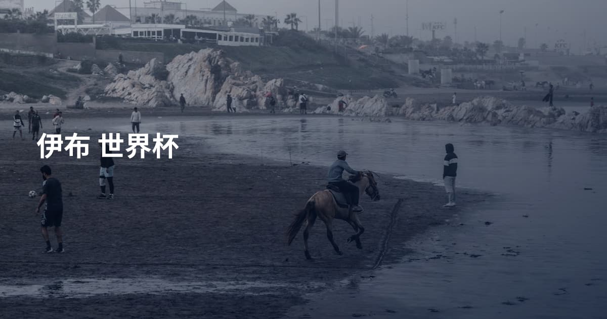 伊布 世界杯