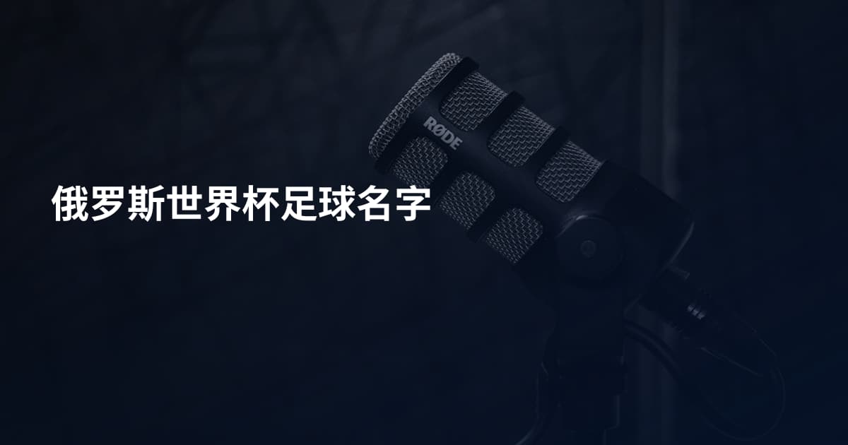俄罗斯世界杯足球名字