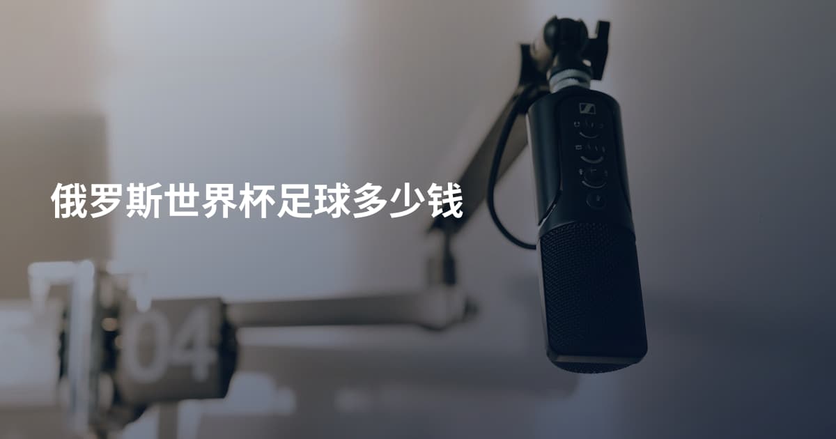 俄罗斯世界杯足球多少钱
