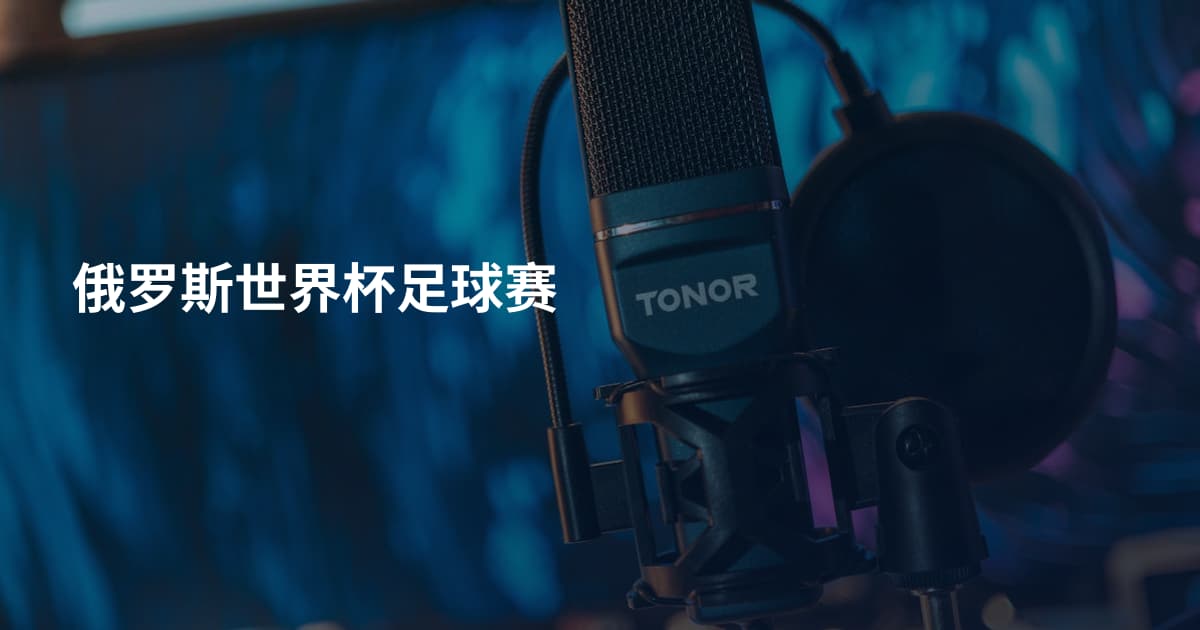 俄罗斯世界杯足球赛