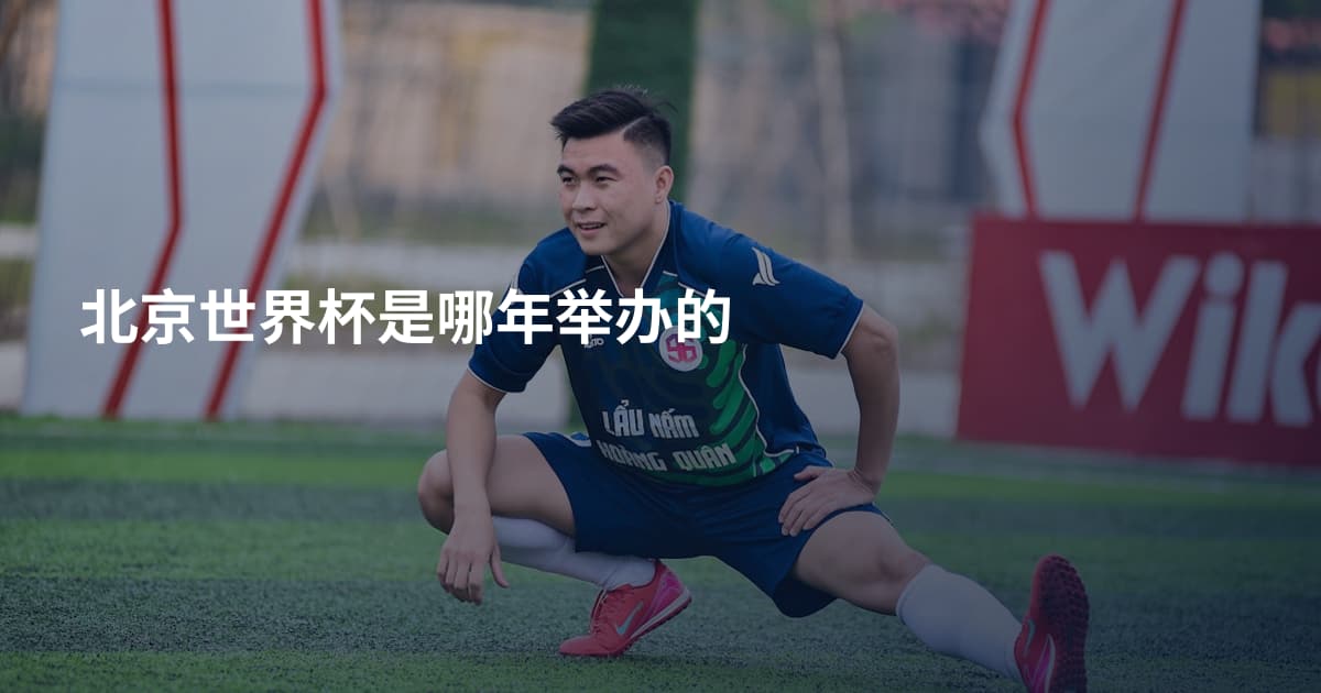 北京世界杯是哪年举办的
