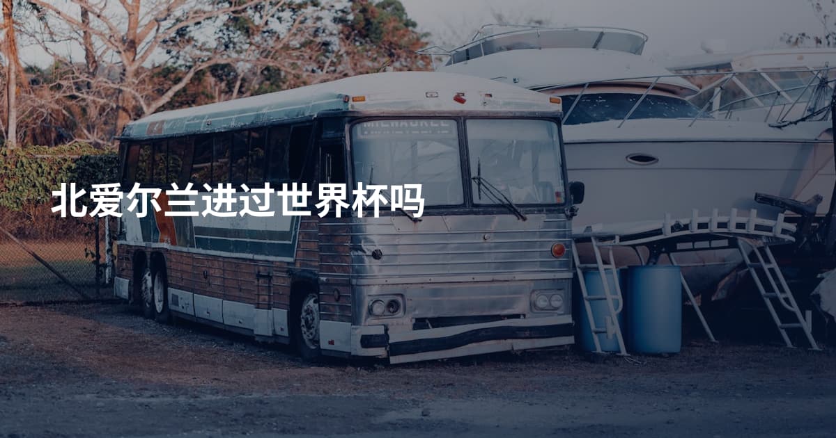 北爱尔兰进过世界杯吗