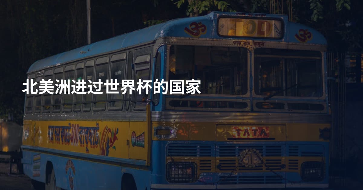 北美洲进过世界杯的国家