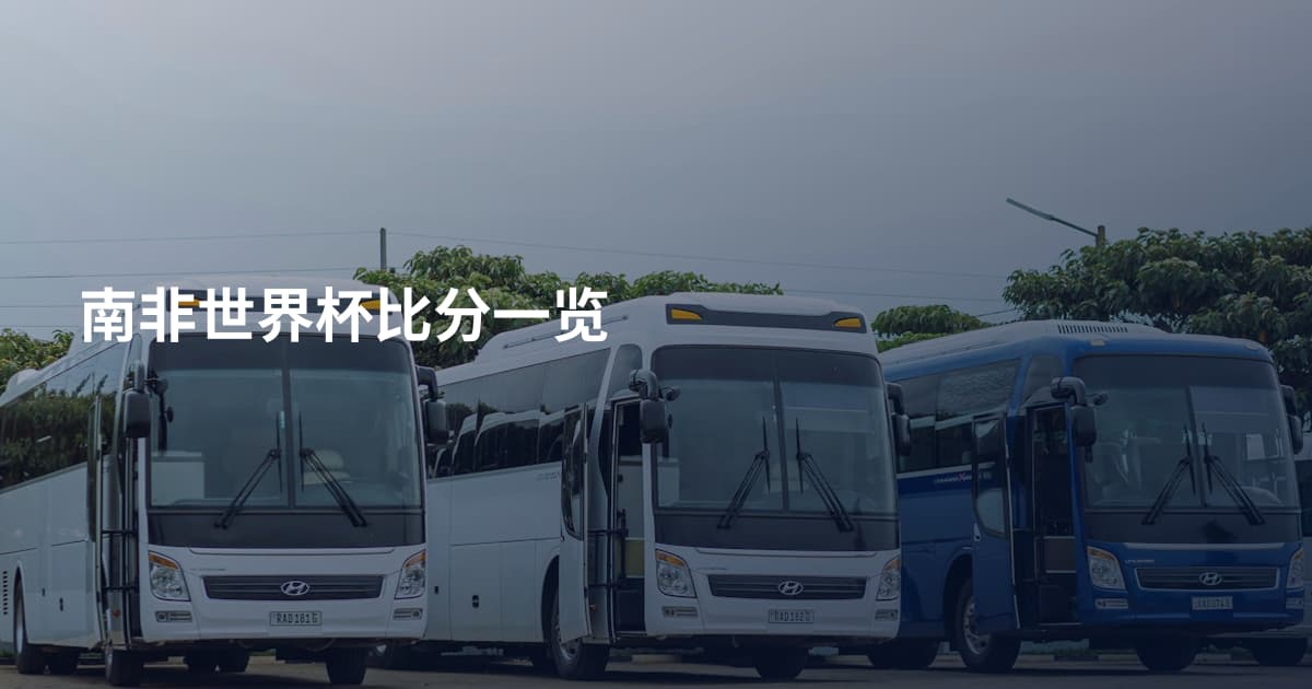 南非世界杯比分一览