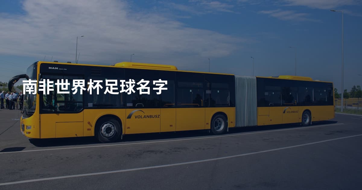 南非世界杯足球名字