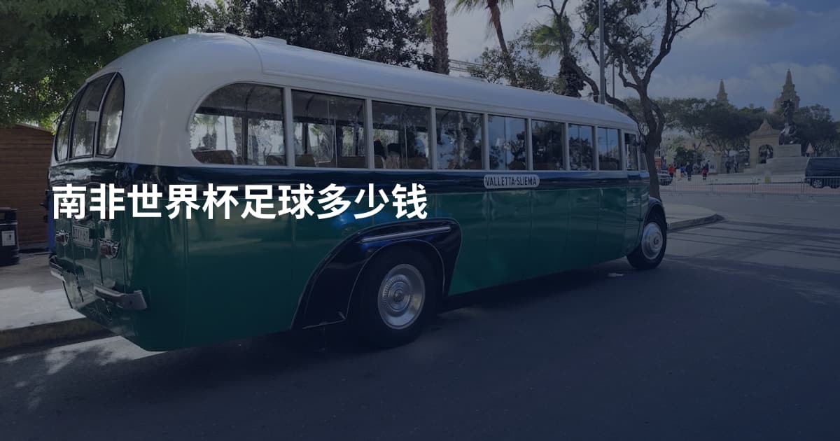 南非世界杯足球多少钱