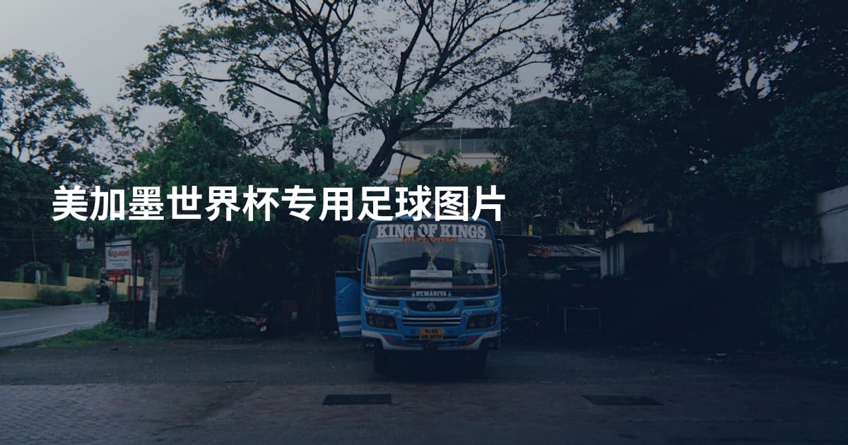美加墨世界杯专用足球图片
