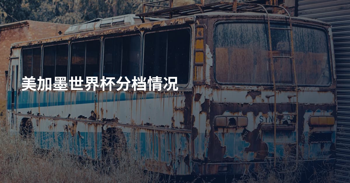 美加墨世界杯分档情况