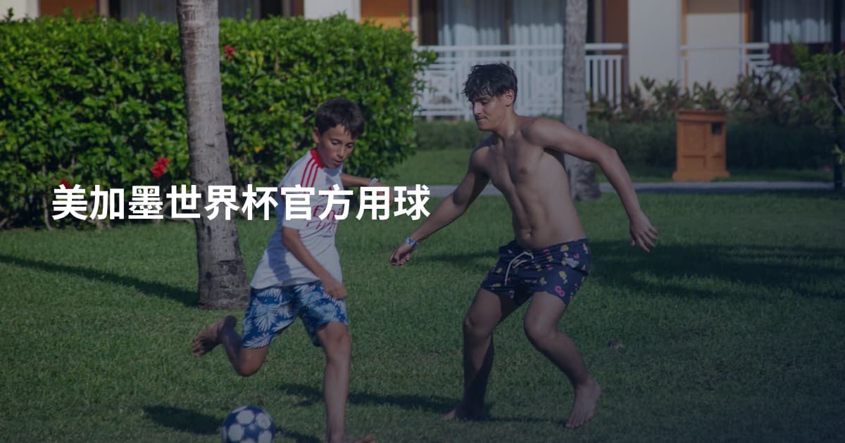 美加墨世界杯官方用球