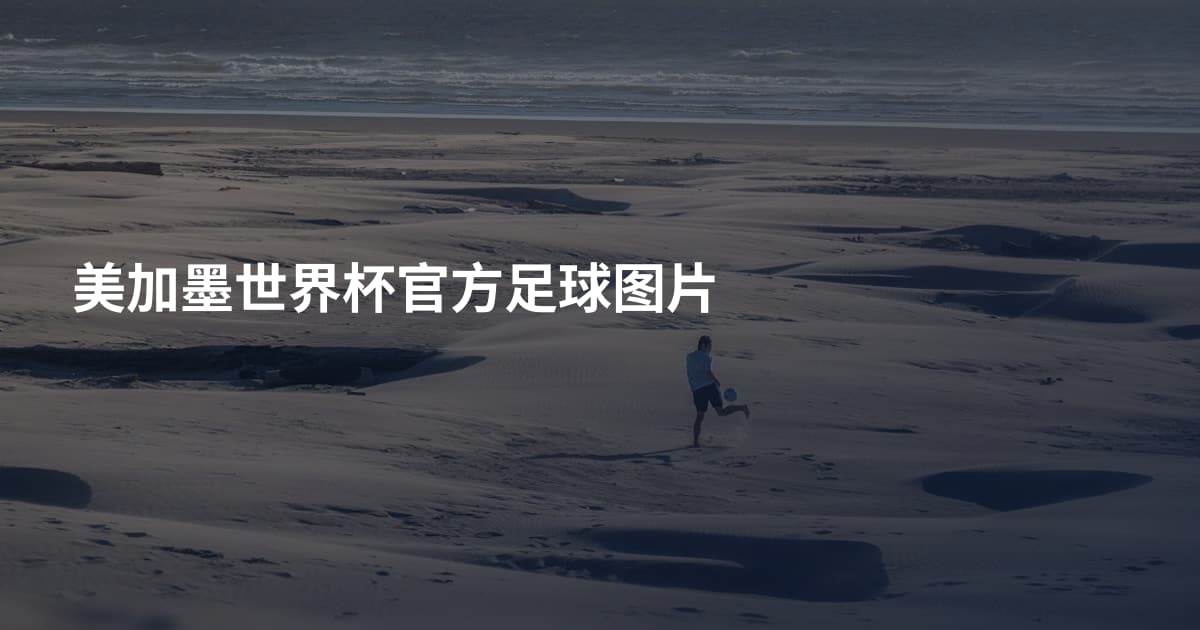 美加墨世界杯官方足球图片