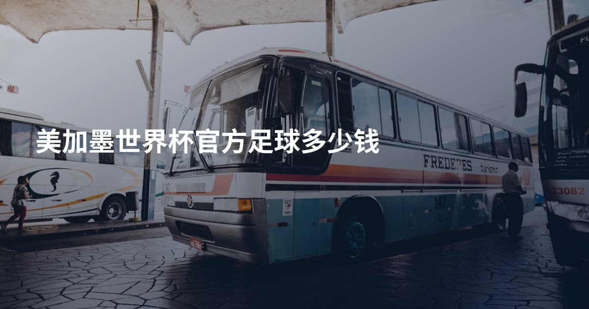 美加墨世界杯官方足球多少钱