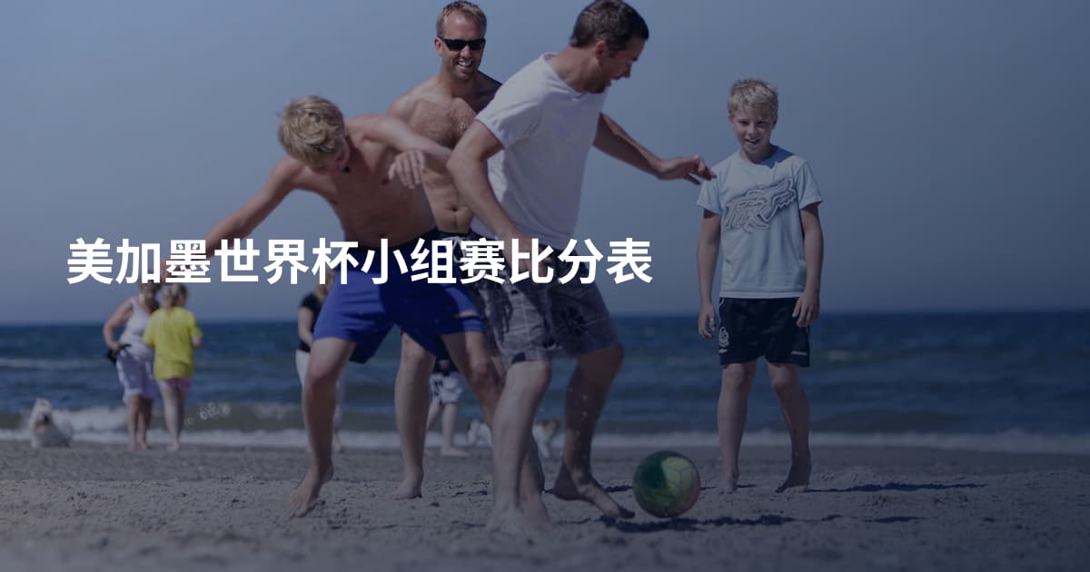 美加墨世界杯小组赛比分表