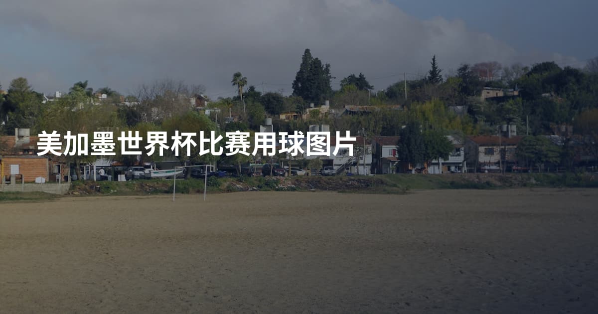 美加墨世界杯比赛用球图片