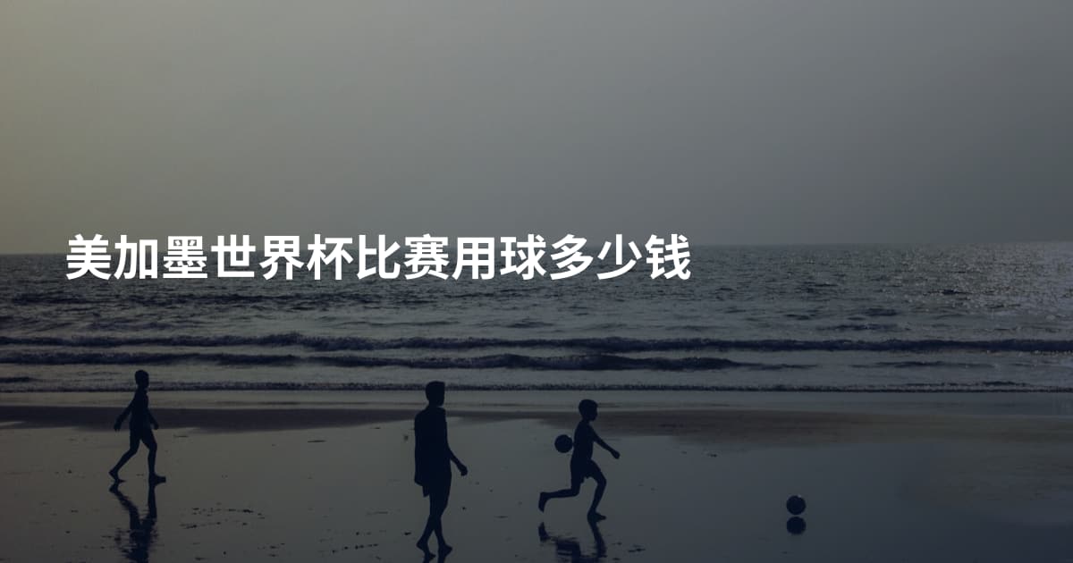 美加墨世界杯比赛用球多少钱
