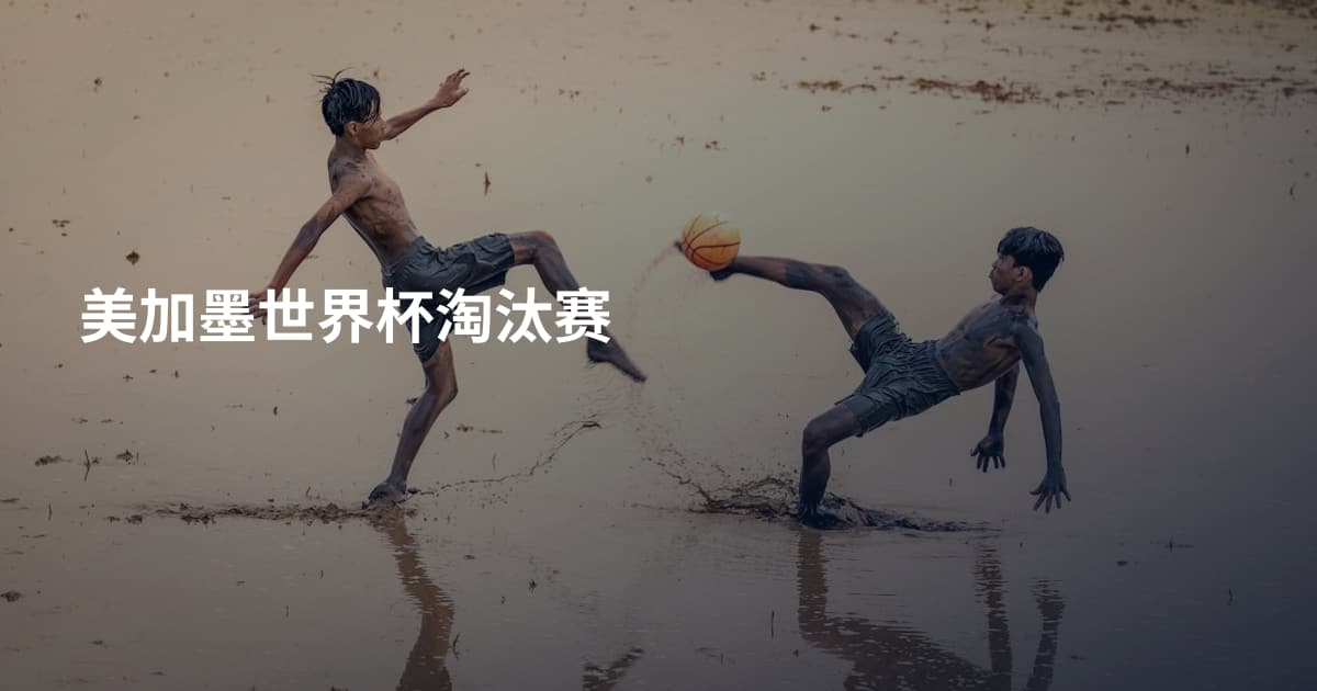美加墨世界杯淘汰赛