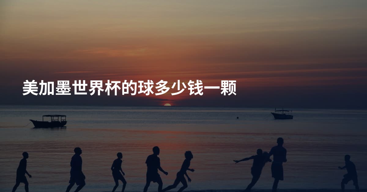 美加墨世界杯的球多少钱一颗