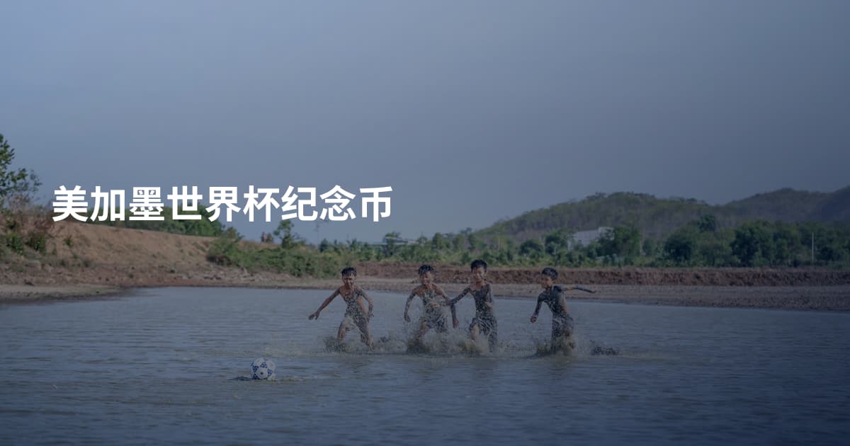 美加墨世界杯纪念币