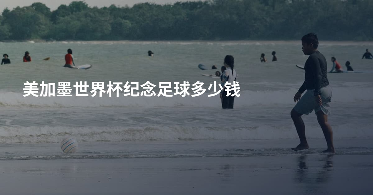 美加墨世界杯纪念足球多少钱