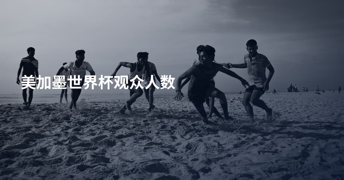 美加墨世界杯观众人数