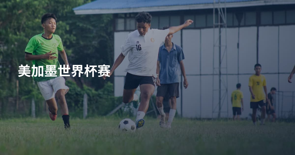 美加墨世界杯赛