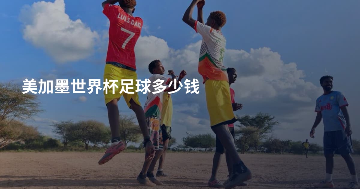 美加墨世界杯足球多少钱